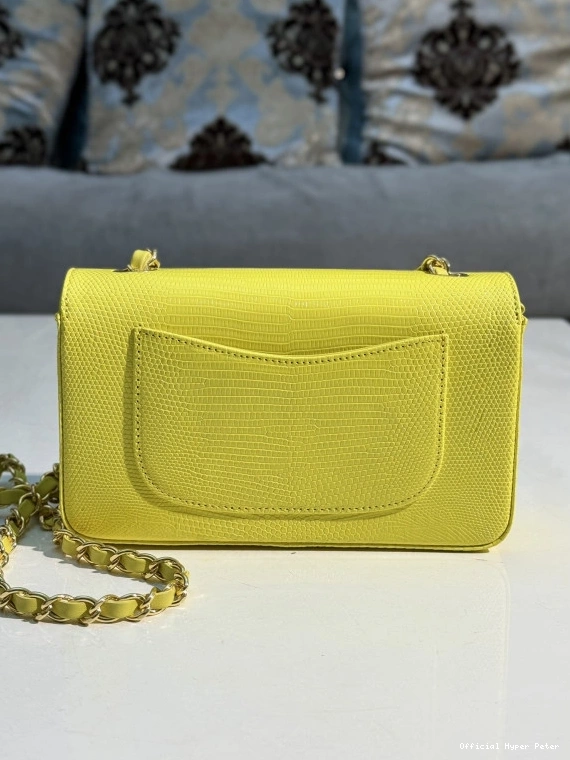 Hyper Peter BAG 20CM CHANEL FLAP 0725